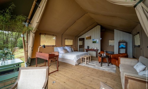 Glamping